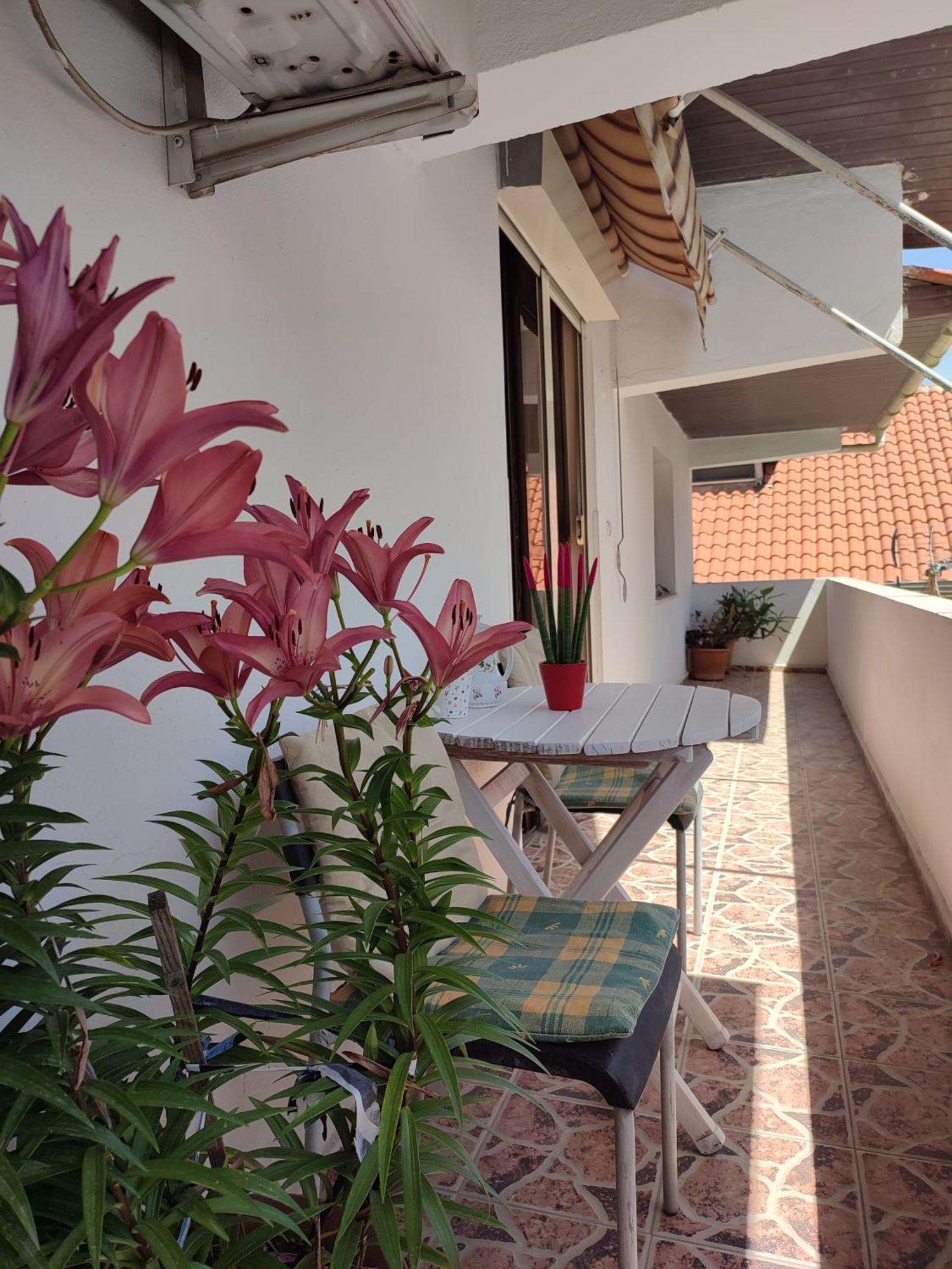 Rooms Xani Tirana Exterior photo